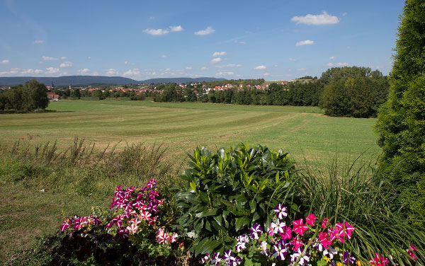 Le Projet de territoire de l’Alsace du Nord a été adopté